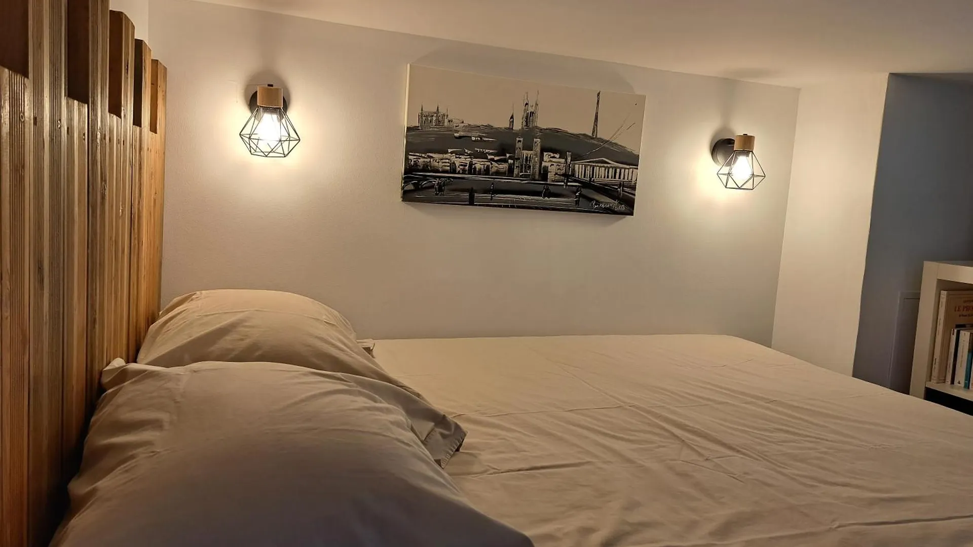 Appartement Studio Cosy Entierement Renove A Deux Pas De Lyon Fontaines-sur-Saone